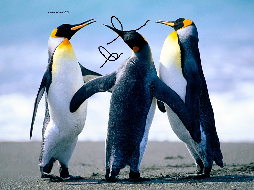 دیدار در نهایت